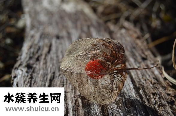 胃腸神經(jīng)官能癥