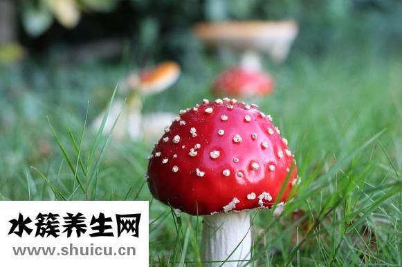 蓮子百合銀耳湯