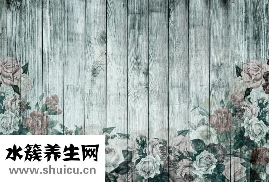 花梨木和黃花梨