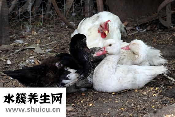 肺部結節做手術