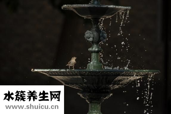 神經(jīng)源性損害