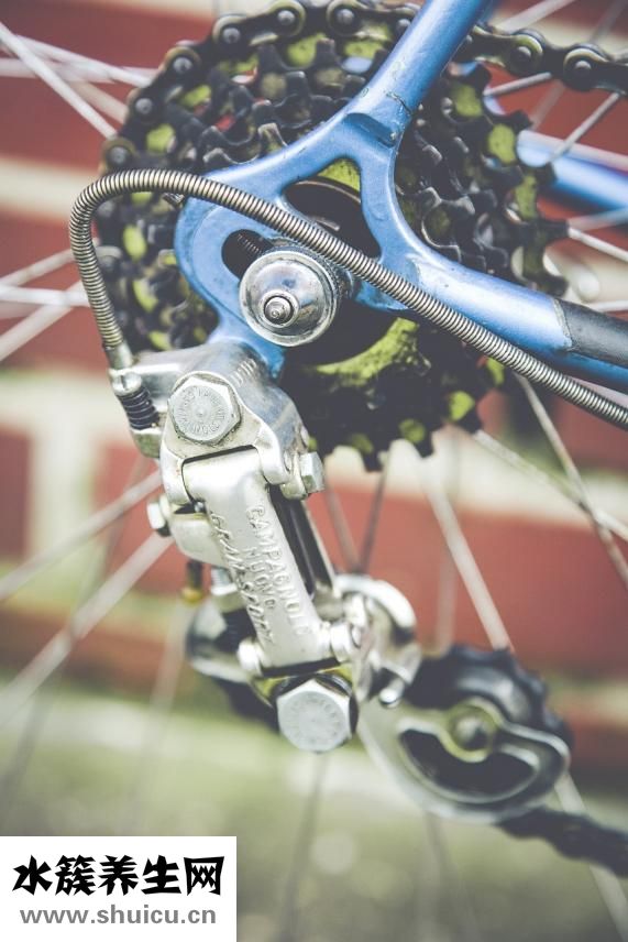 胎停育主要原因