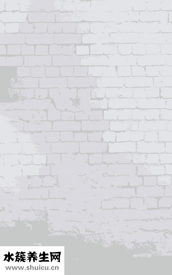 蟹味菇的功效與作用