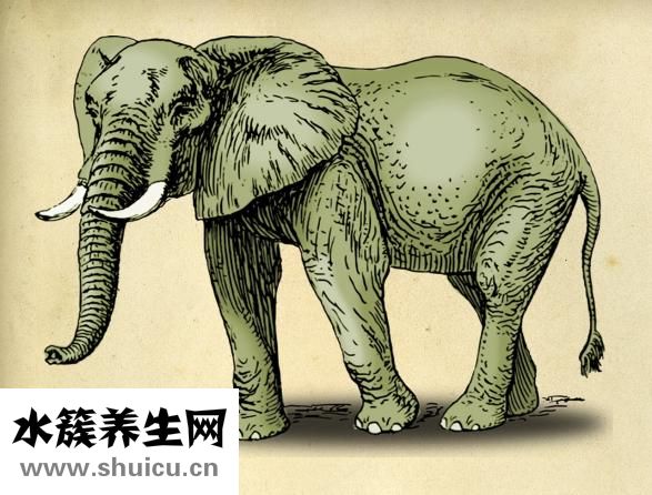 胎停育主要原因