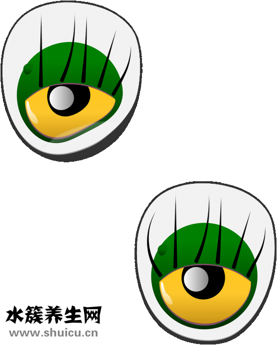 視力下降眼睛模糊