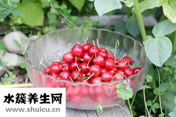 血管瘤的癥狀圖片