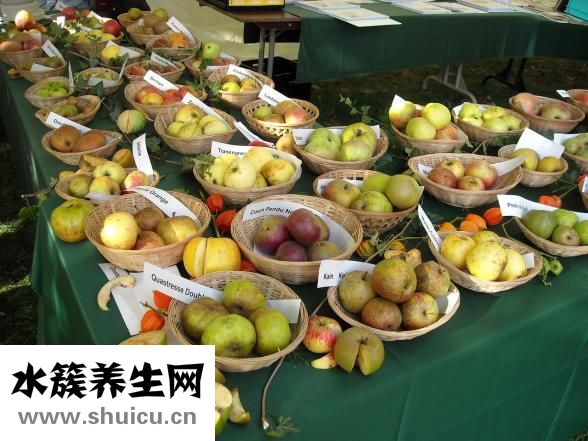 孕婦可以吃草莓不