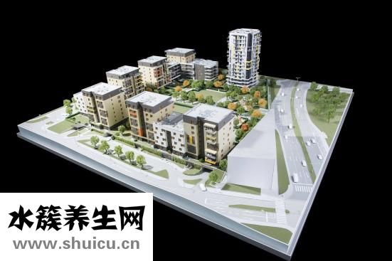 豌豆涼粉的制作方法