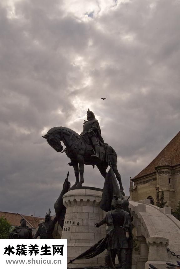韋格納肉芽腫病