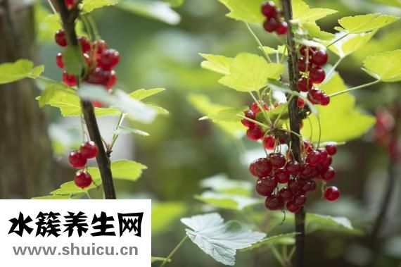 睡覺前喝牛奶好嗎