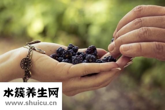 環(huán)磷酰胺的作用