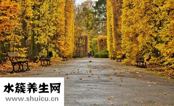 水煮大蝦的做法