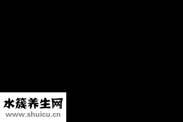 幽門螺旋桿菌飲食