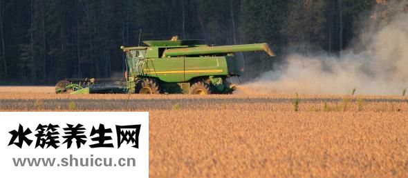 黃豆渣怎么做好吃