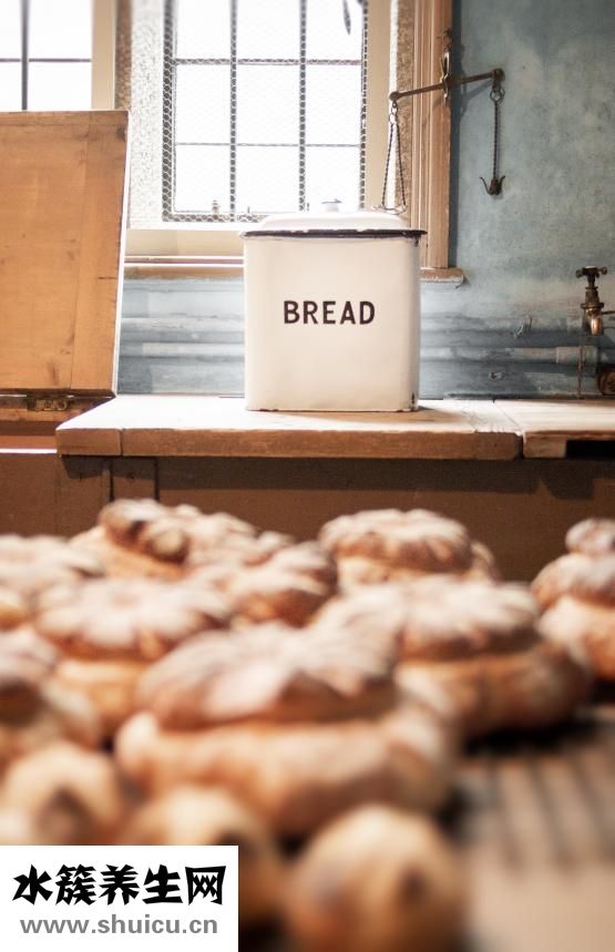 食物的營養(yǎng)