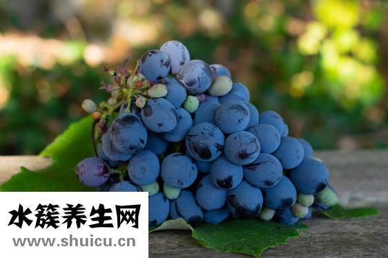 速凍餃子煮多久才熟