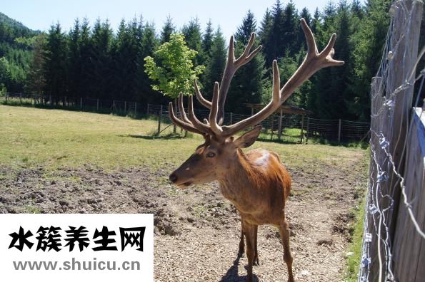 硬度不夠怎么調(diào)理