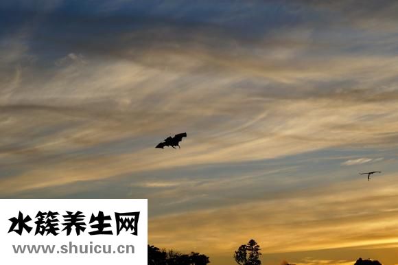 香蕉爛了能吃嗎