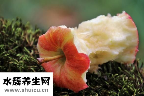 風流果的功效與用法