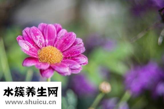 肝火旺是什么癥狀