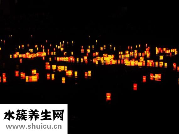 鮮銀耳怎么保存