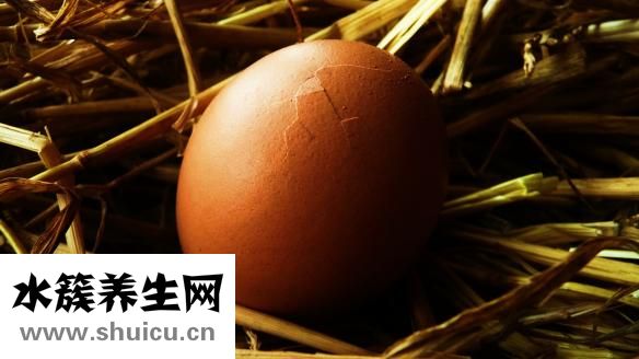 胃病可以吃雞蛋嗎