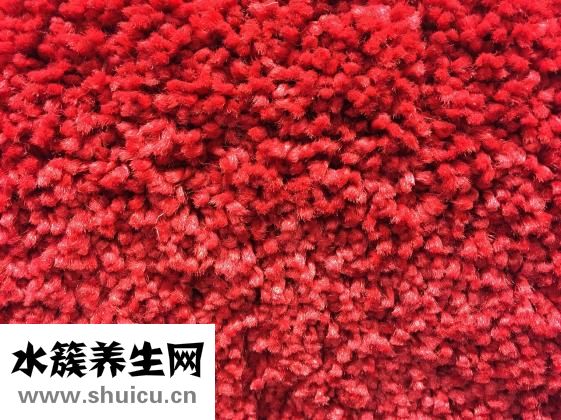 油菜可以生吃嗎