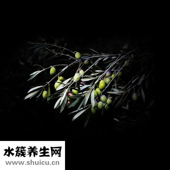 食醋的作用與功效