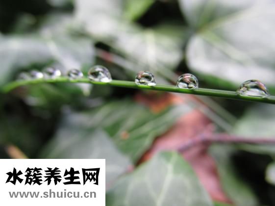 女生唇毛可以刮嗎