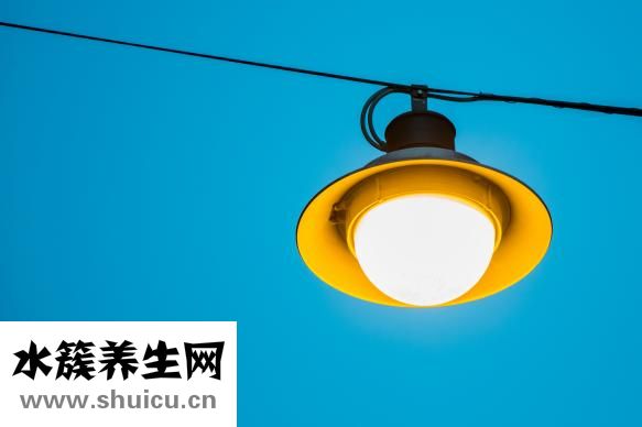 燕窩一斤的價格