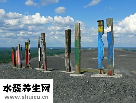 香榧多少錢一斤