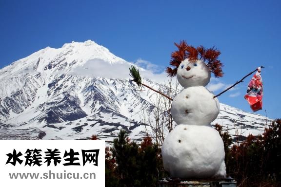 雪燕和燕窩的區(qū)別