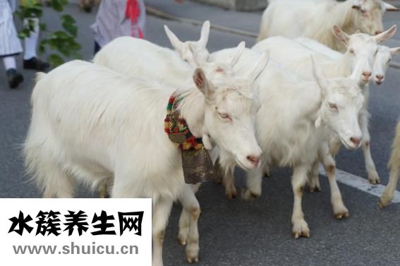 核酸的基本單位