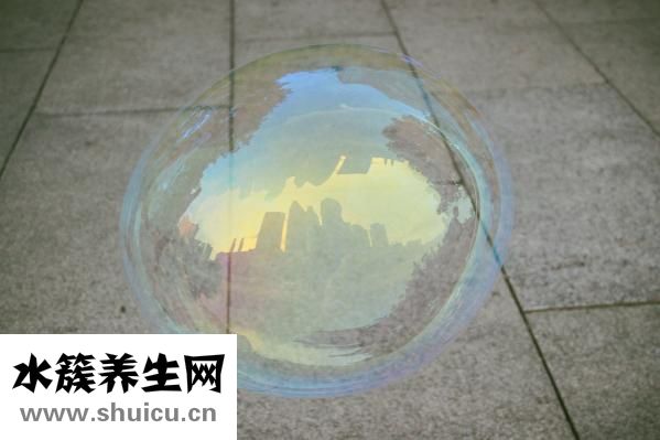 泡泡水怎么做