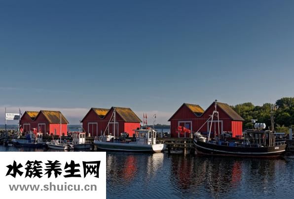 舌頭下面有小疙瘩