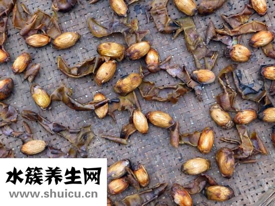 胃不好口臭怎么辦