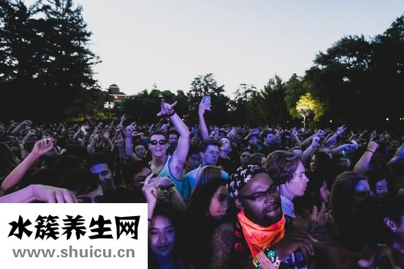 西洋參有什么好處