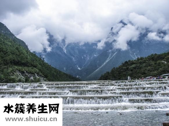 小茴香的作用與功效