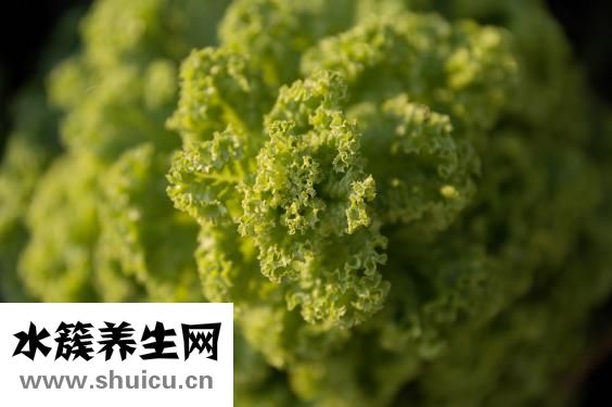 黃桃是發(fā)物嗎