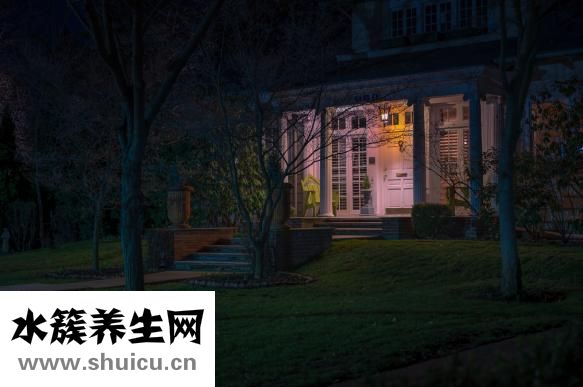 小茴香的作用與功效