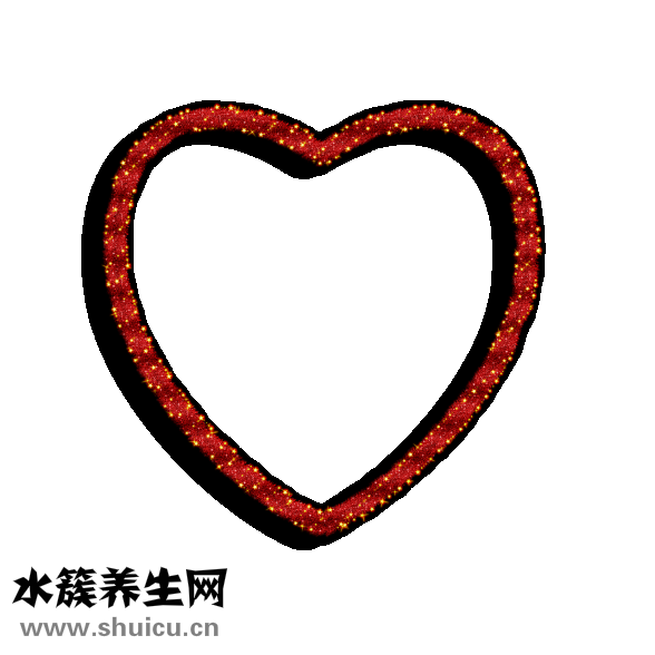 心律平又叫什么名字