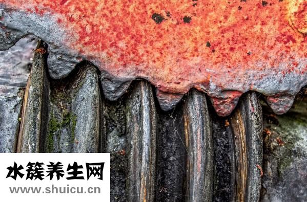 牙銹怎么在家洗掉