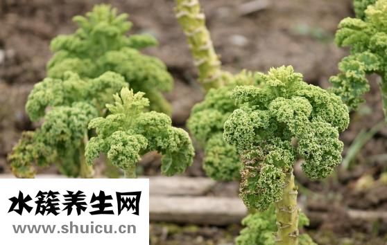 眼睛模糊怎么治療