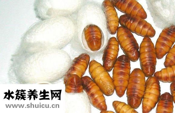 小蠶蛹怎么做好吃