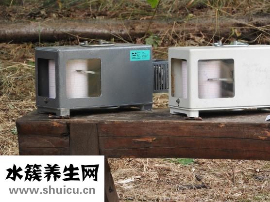 試紙晚上用準嗎