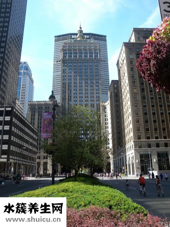 腹直肌分離自測