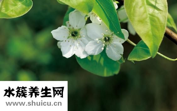 月經不調的癥狀