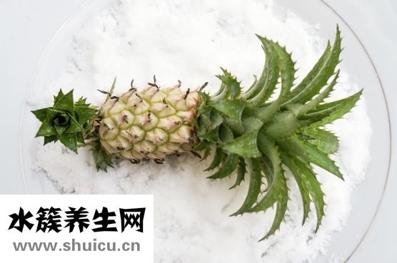 香水噴在哪里最好