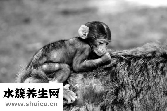 唐氏綜合癥是啥病