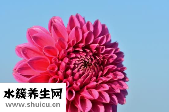 腹直肌分離自測